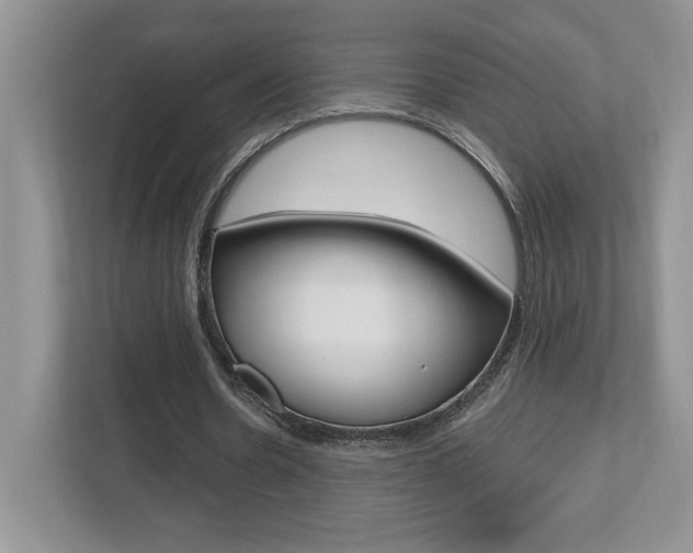 X0000112540530200908171208