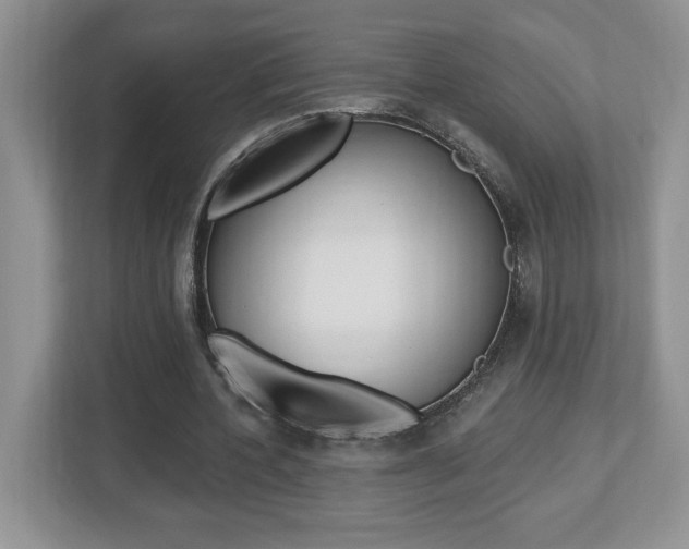 X0000112540532200908171208
