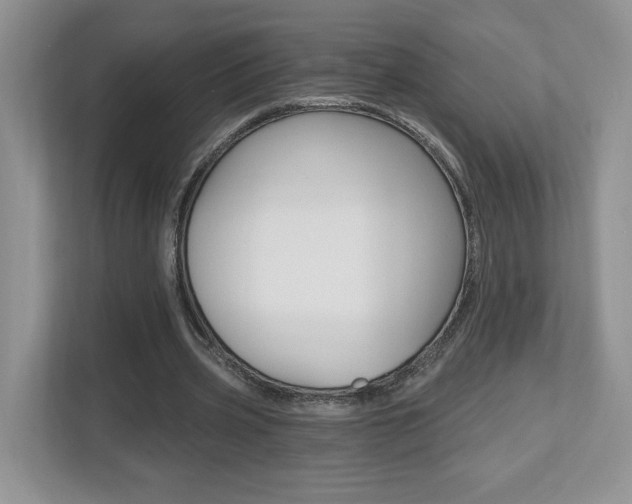 X0000112540533200908171208