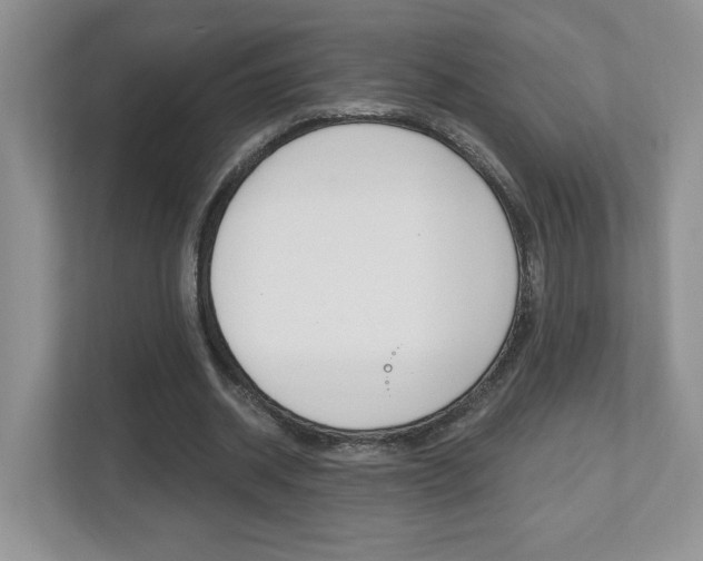 X0000112540534200908171208