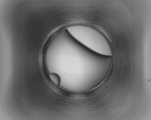X0000112540535200908171208