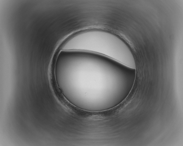 X0000112540536200908171208