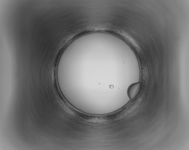 X0000112540537200908171208