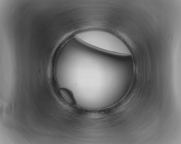 X0000112540540200908171208