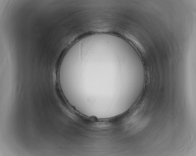 X0000112540541200908171208