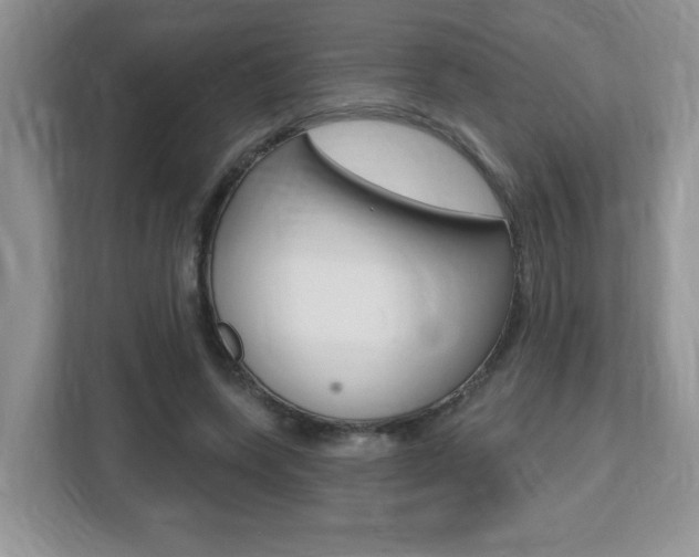 X0000112540543200908171208