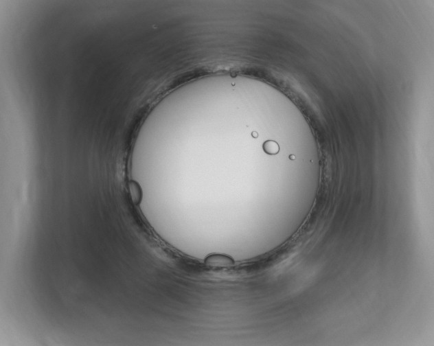 X0000112540545200908171208