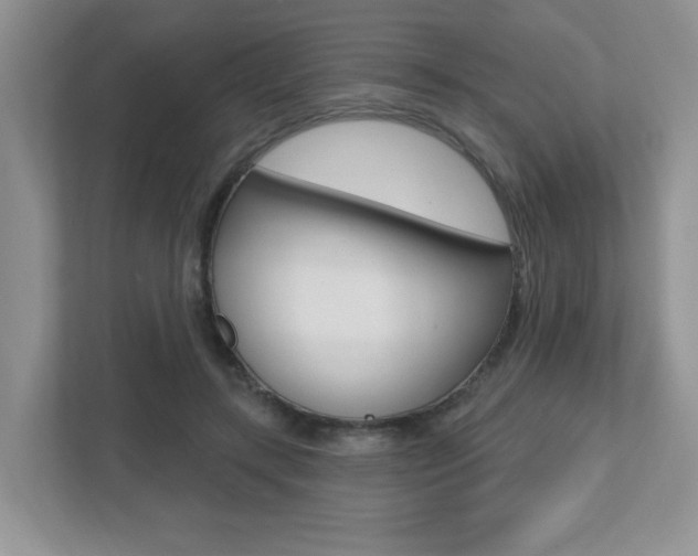 X0000112540547200908171208