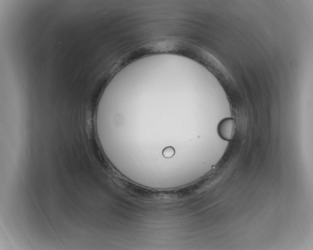 X0000112540549200908171208