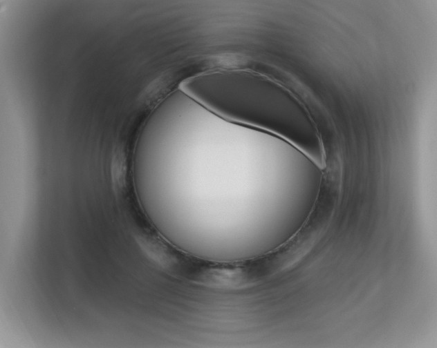 X0000112540552200908171208