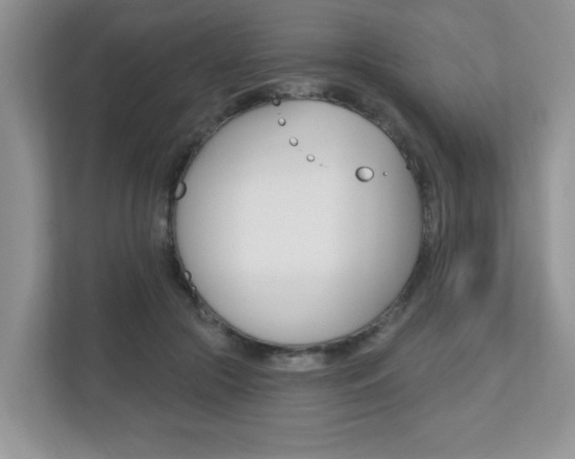 X0000112540553200908171208