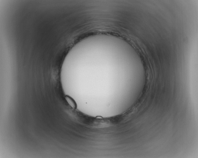 X0000112540559200908171208