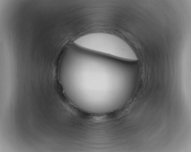X0000112540560200908171208