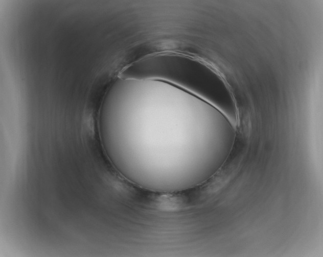 X0000112540562200908171208