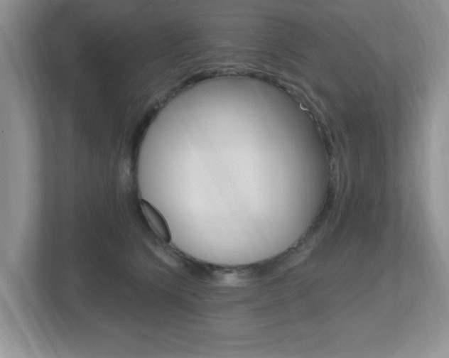 X0000112540564200908171208