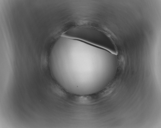 X0000112540566200908171208
