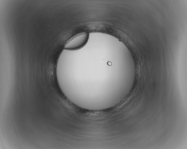 X0000112540567200908171208