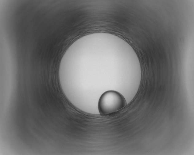 X0000112540570200908171208