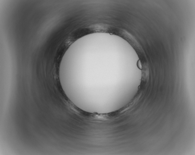 X0000112540573200908171208