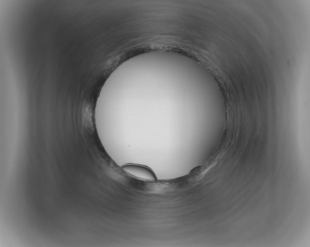 X0000112540575200908171208