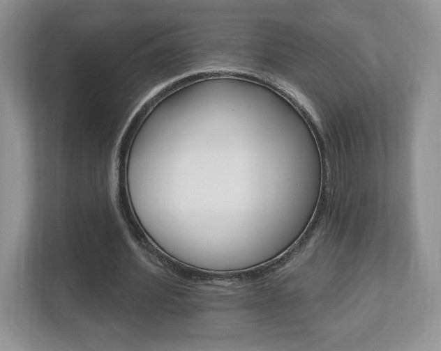 X0000112540580200908171208