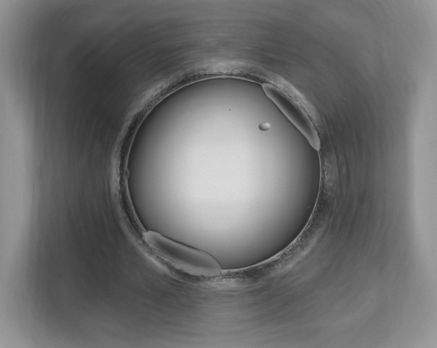 X0000112540581200908171208