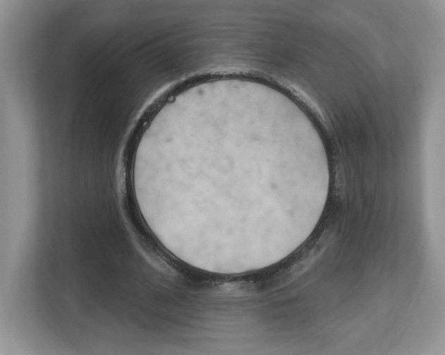 X0000112540584200908171208