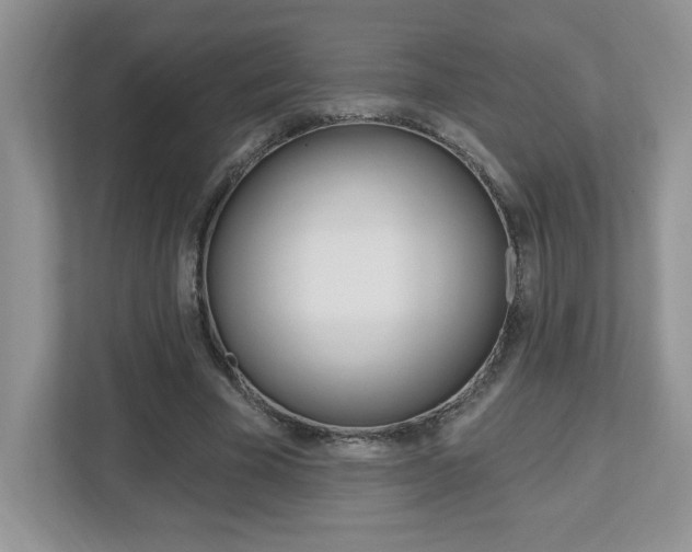 X0000112540585200908171208