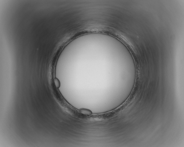 X0000112540586200908171208