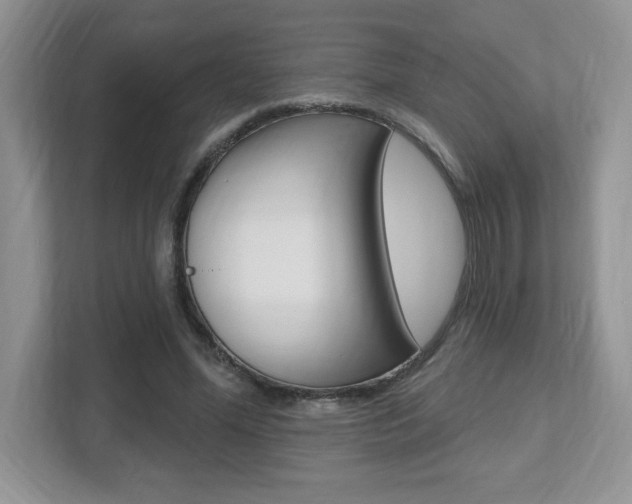 X0000112540588200908171208