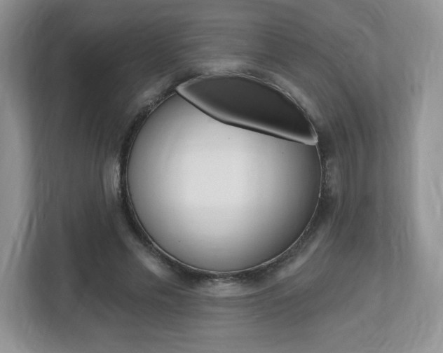 X0000112540589200908171208