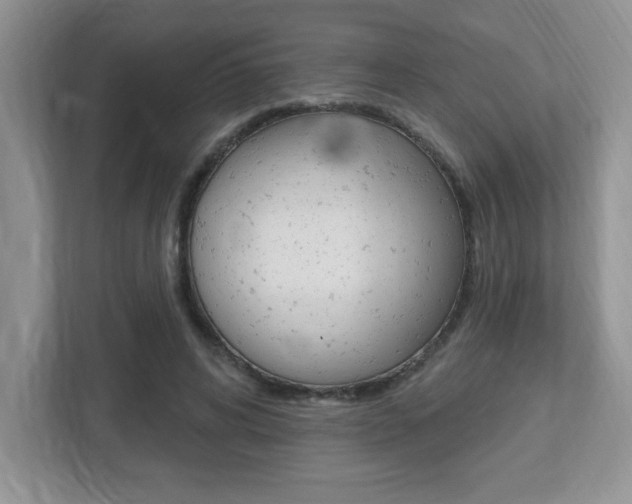 X0000112540592200908171208