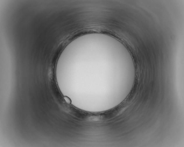 X0000112540595200908171208