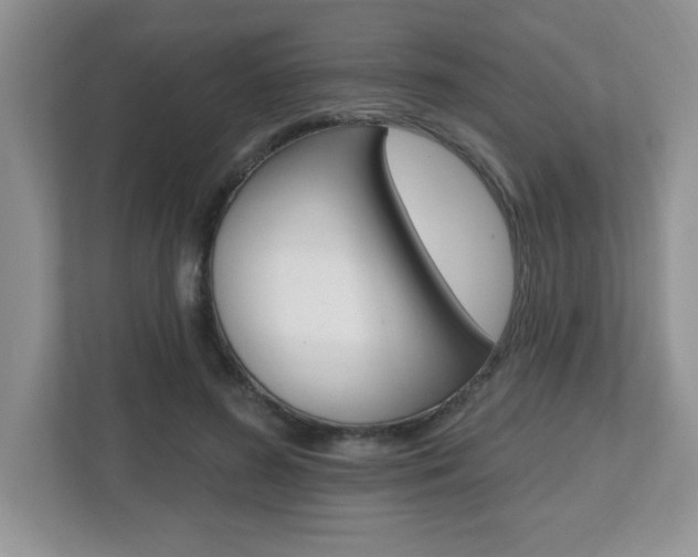 X0000112540596200908171208