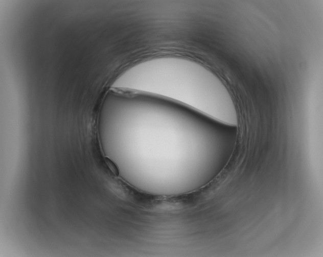 X0000112540601200908171208