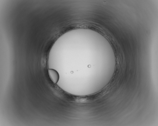 X0000112540602200908171207