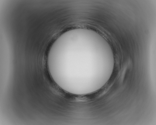 X0000112540603200908171207