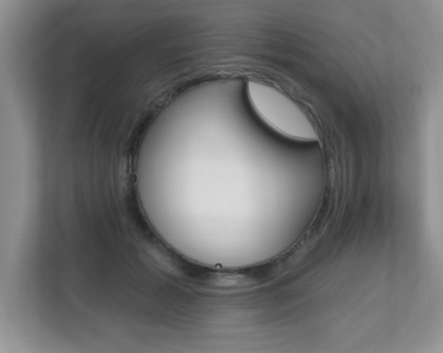 X0000112540605200908171207