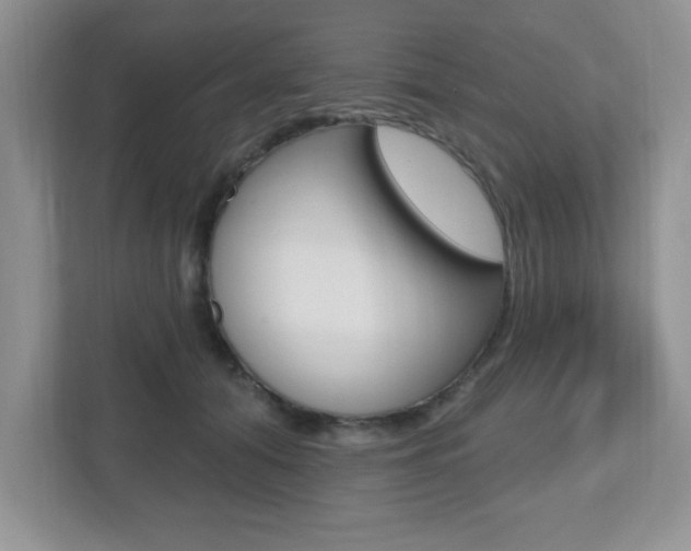 X0000112540608200908171207