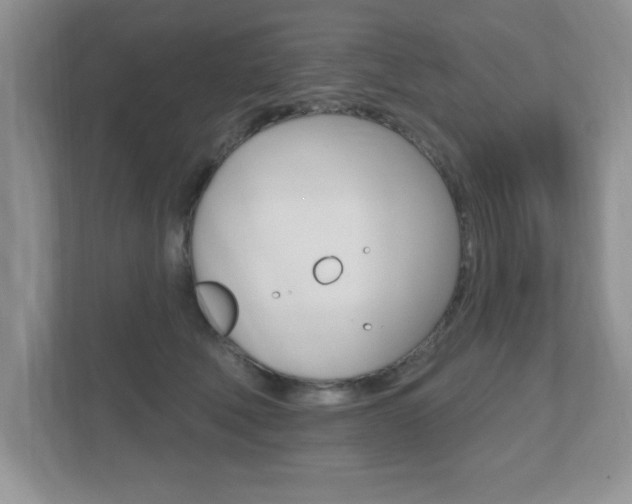 X0000112540610200908171207