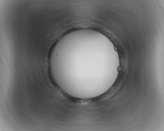 X0000112540612200908171207