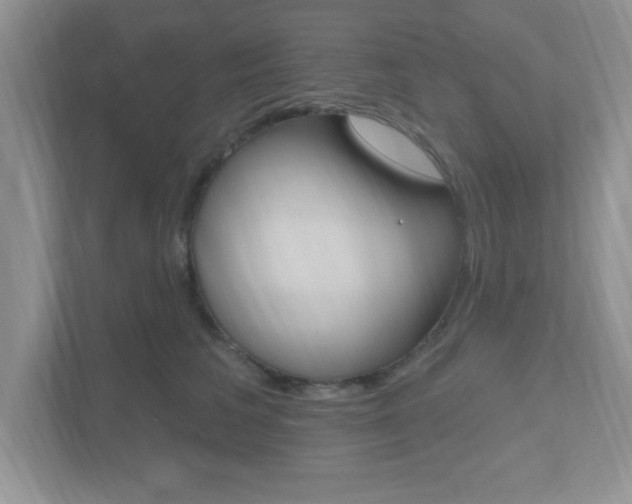 X0000112540613200908171207