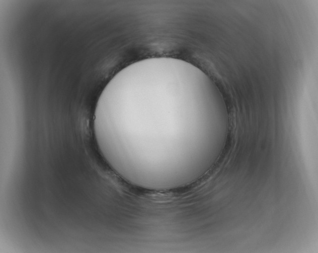 X0000112540615200908171207