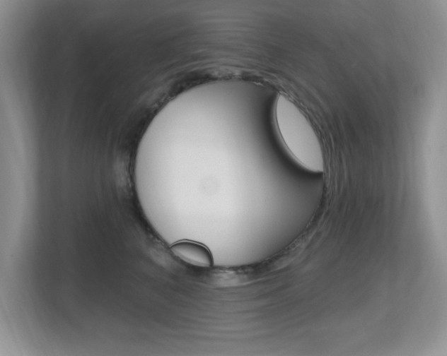 X0000112540616200908171207