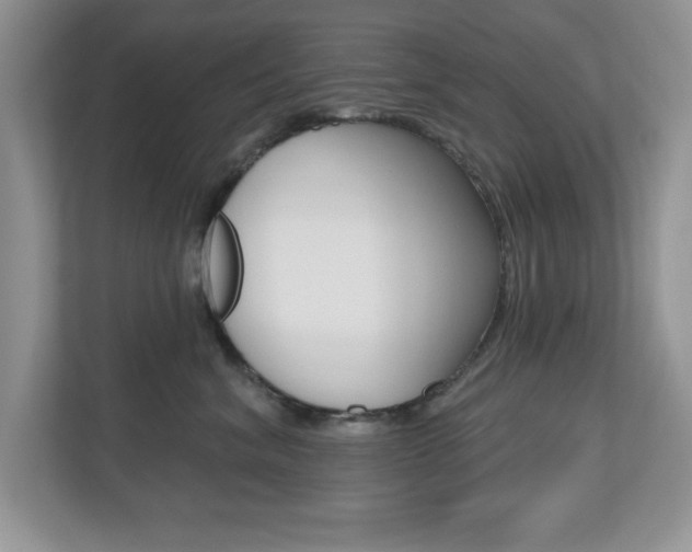 X0000112540620200908171207