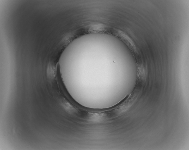 X0000112540621200908171207