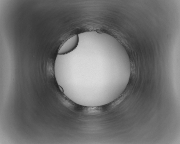 X0000112540622200908171207
