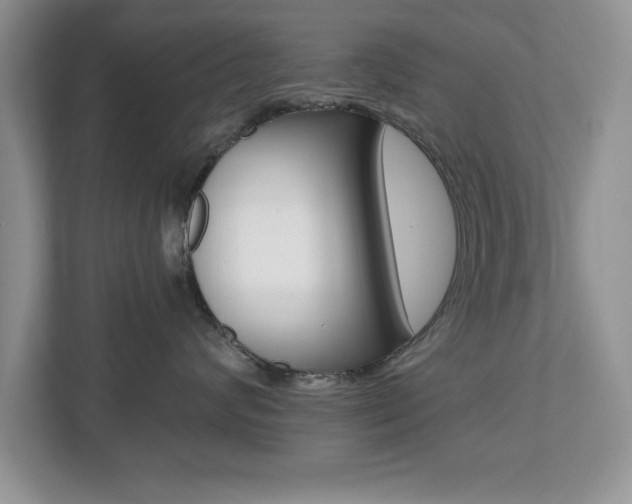 X0000112540624200908171207