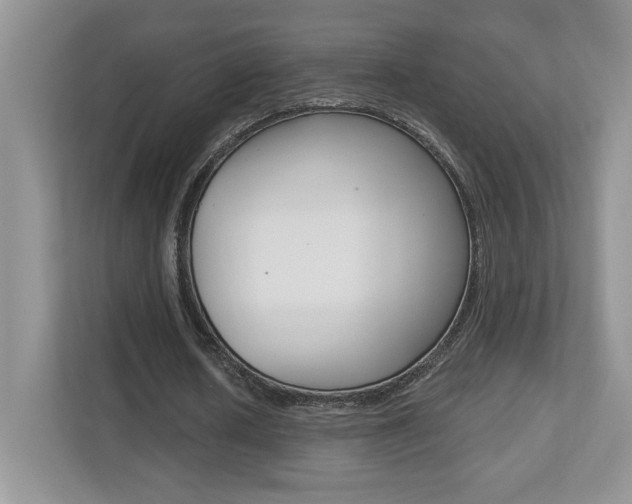 X0000112540626200908171207