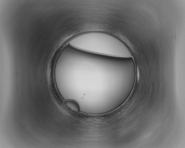 X0000112540627200908171207